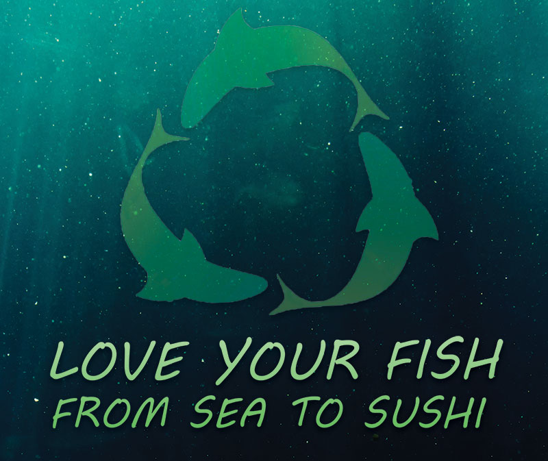 sea to sushi